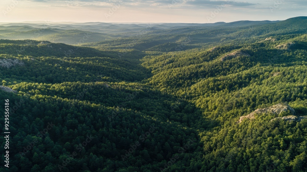 Aerial view of lush green mountains and valleys under a clear sky. Aerial view of lush green mountains and valleys under a clear sky.