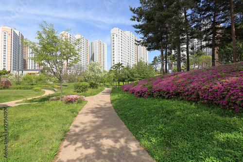 Gwonseon-gu, Suwon-si, Gyeonggi-do, South Korea - May 7, 2022: Spring view of trail besides lawn and royal pink azalea flowers with the background of apartments at Durettel Park