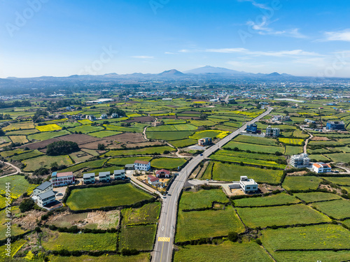 Hado-ri, Gujwa-eup, Jeju-si, Jeju-do, South Korea - March 15, 2022: Aerial view of road and houses of a village with green field against Hallasan Mountain in the background photo