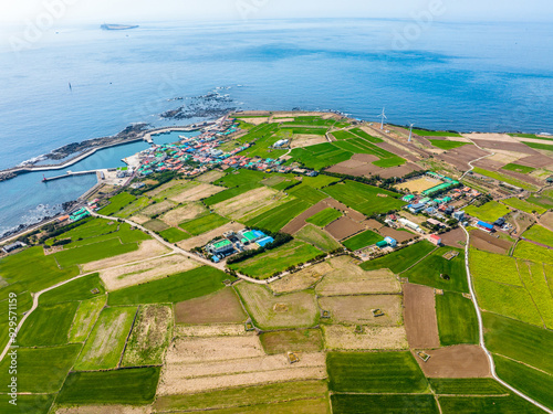 Gapado Island, Seogwipo-si, Jeju-do, South Korea - March 16, 2022: Aerial and top angle view of green barley field with houses of a village at Gapa Port photo