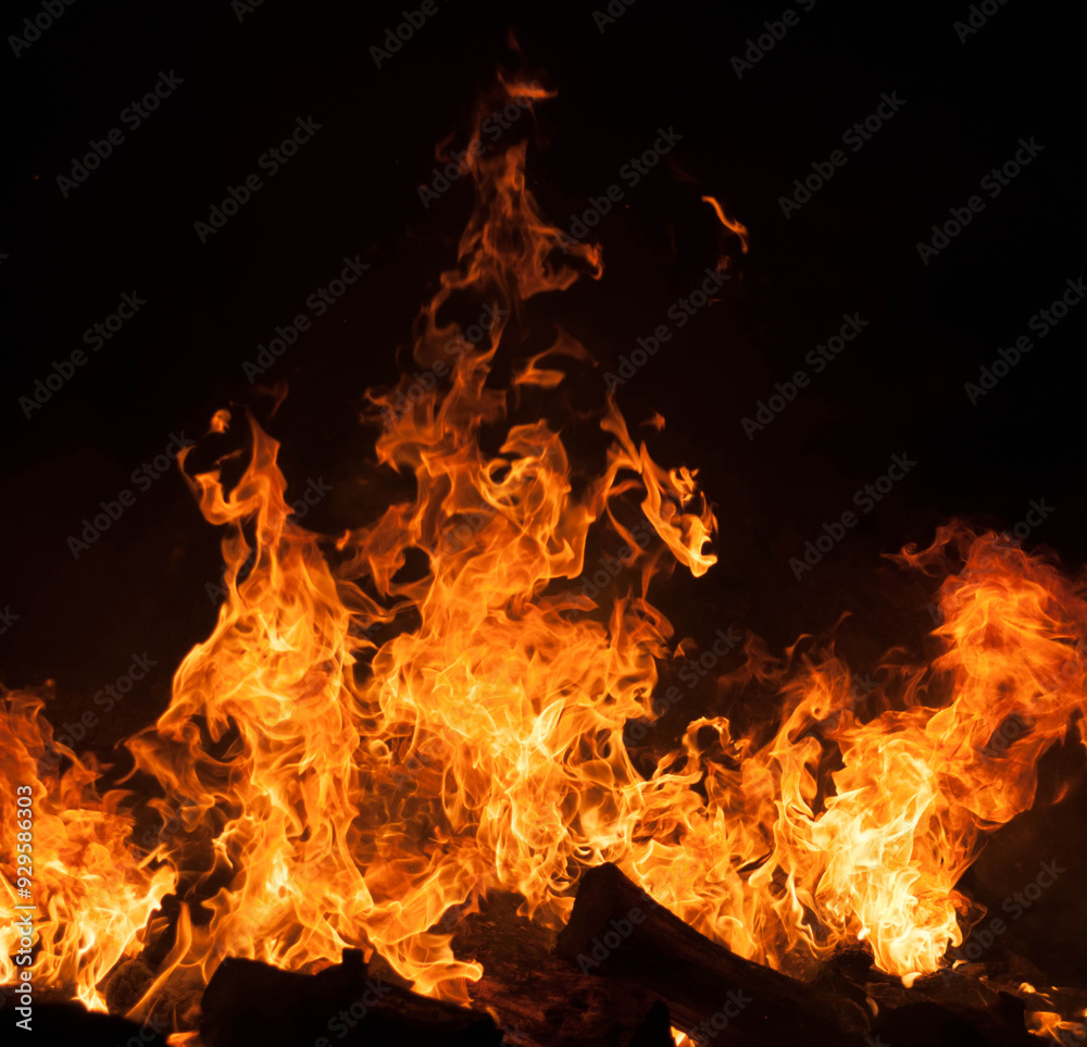 Fototapeta premium fire at night