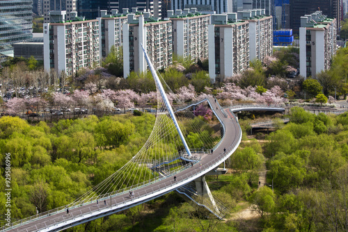 Yeouido, Yeongdeungpo-gu, Seoul, South Korea - April 11, 2022: High angle view of tourists walking on Saetgang Bridge near Saetgang Ecological Park against cherry blossom and apartments photo