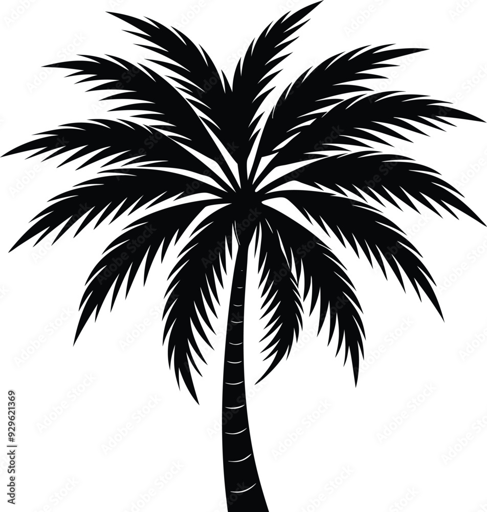 A black palm tree silhouette vector illustration high quality art work. A black palm tree silhouette vector illustration high quality art work.