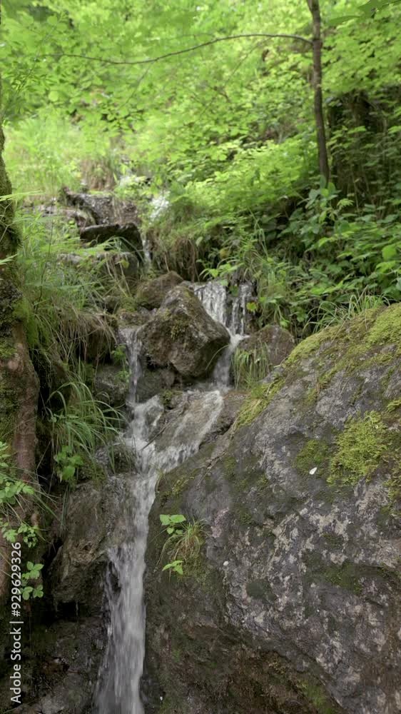 A serene scene of a small waterfall flowing gently over moss-covered rocks in a lush green forest. The peaceful natural setting is perfect for relaxation and tranquility. High quality 4k footage A serene scene of a small waterfall flowing gently over moss-covered rocks in a lush green forest. The peaceful natural setting is perfect for relaxation and tranquility. High quality 4k footage