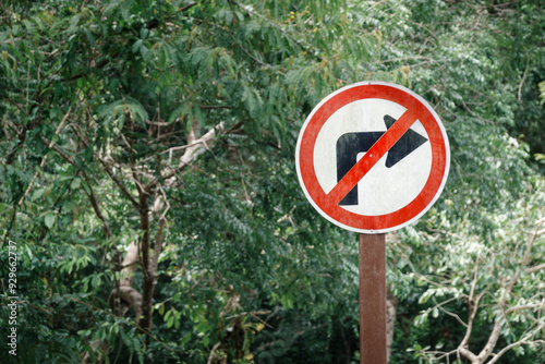 no right turn sign on road in green forest park, Khao Yai National Park, Thailand