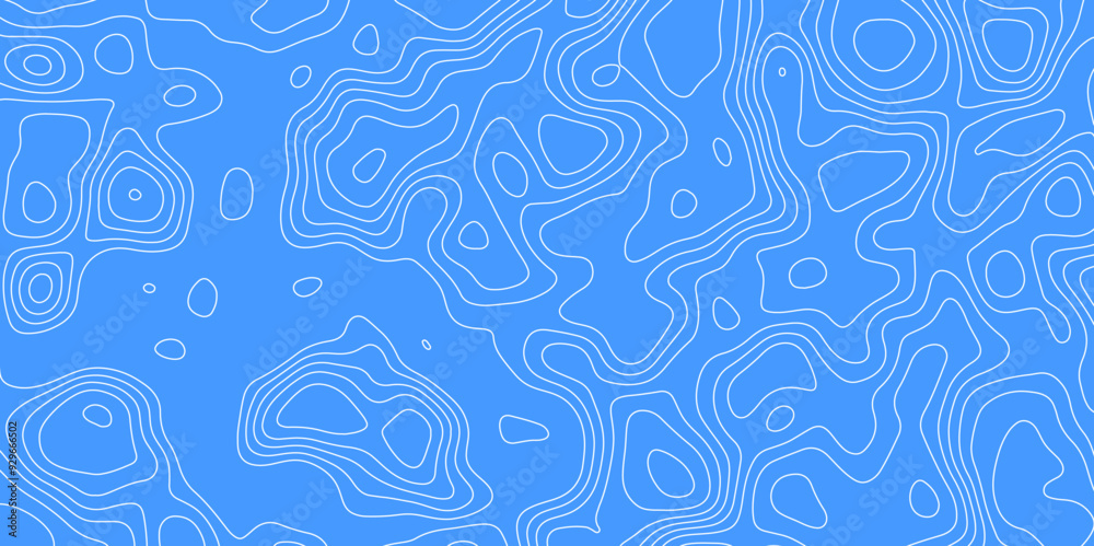 Topography or topology map texture contour vector abstract background digital wallpaper for desktop Topography or topology map texture contour vector abstract background digital wallpaper for desktop