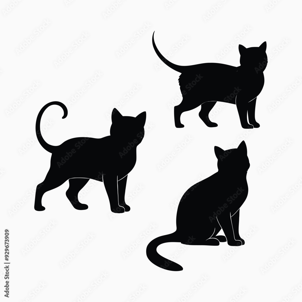Exotic shorthair cat silhouette vector template illustration Exotic shorthair cat silhouette vector template illustration