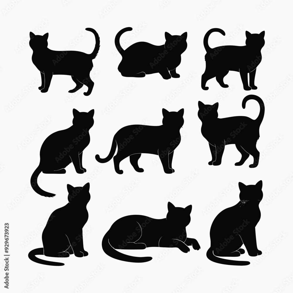 Exotic shorthair cat silhouette vector template illustration Exotic shorthair cat silhouette vector template illustration