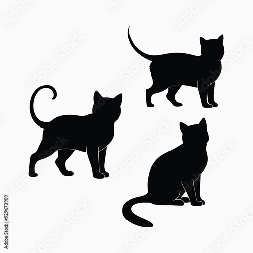 Exotic shorthair cat silhouette vector template illustration