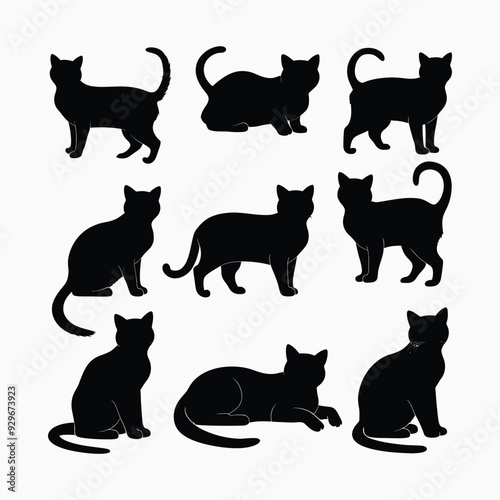 Exotic shorthair cat silhouette vector template illustration