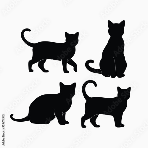 Exotic shorthair cat silhouette vector template illustration