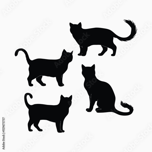 Exotic shorthair cat silhouette vector template illustration