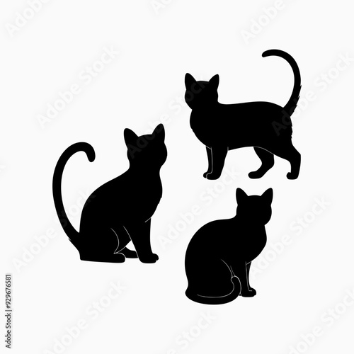 Exotic shorthair cat silhouette vector template illustration