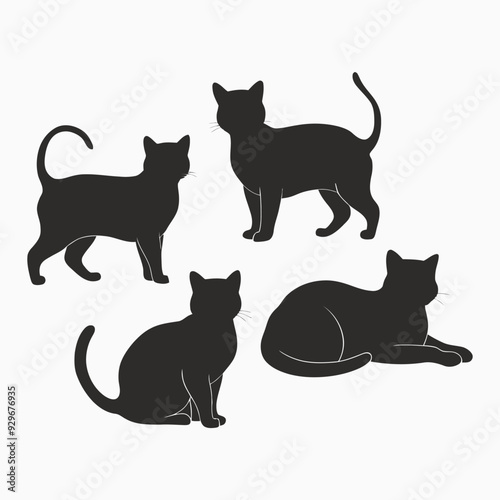 Exotic shorthair cat silhouette vector template illustration