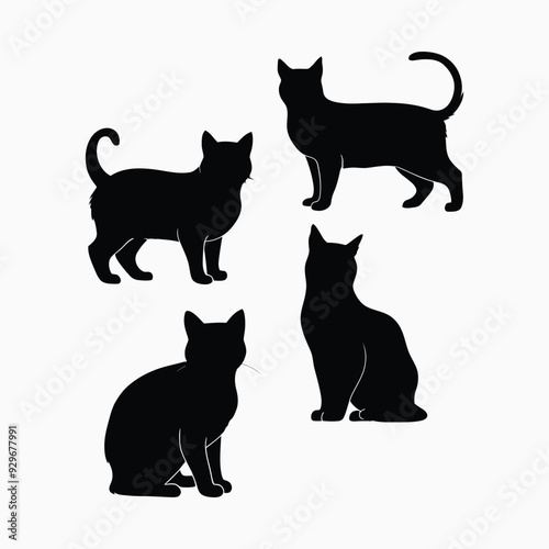 Exotic shorthair cat silhouette vector template illustration