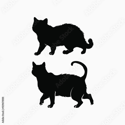 Exotic shorthair cat silhouette vector template illustration