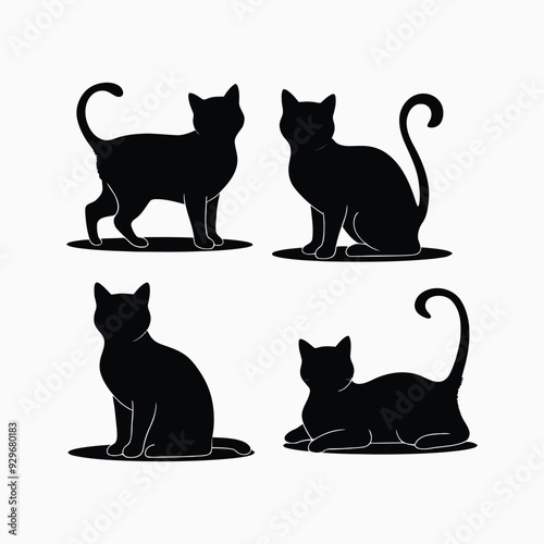 Exotic shorthair cat silhouette vector template illustration