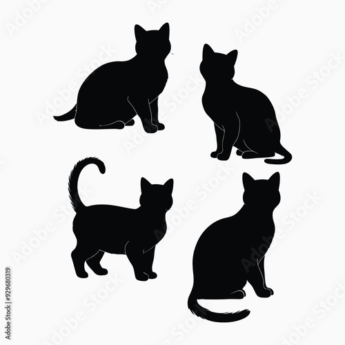 Exotic shorthair cat silhouette vector template illustration