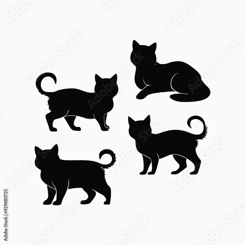 Exotic shorthair cat silhouette vector template illustration
