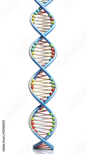 DNA strand model isolated on transparent background