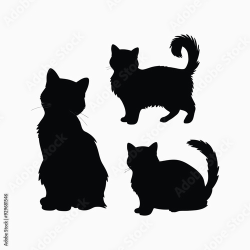 Exotic shorthair cat silhouette vector template illustration