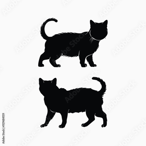Exotic shorthair cat silhouette vector template illustration