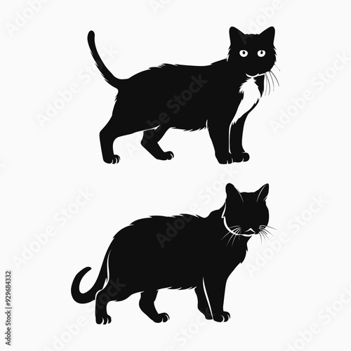 Exotic shorthair cat silhouette vector template illustration
