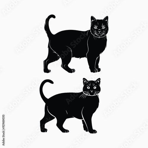 Exotic shorthair cat silhouette vector template illustration