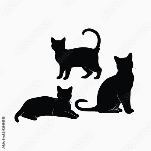 Exotic shorthair cat silhouette vector template illustration