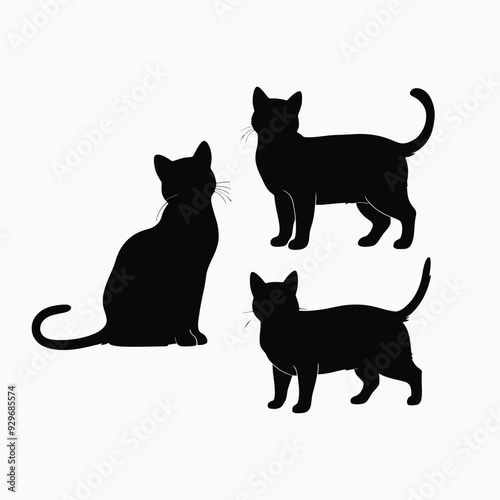 Exotic shorthair cat silhouette vector template illustration