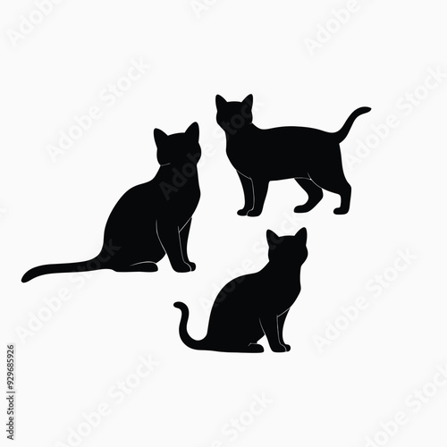 Exotic shorthair cat silhouette vector template illustration