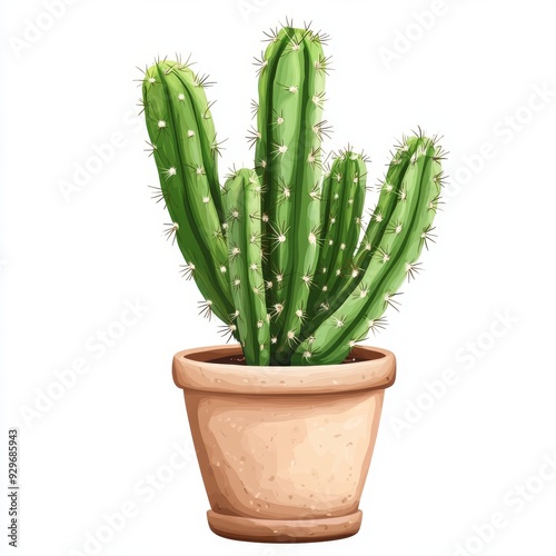 Vector Graphic of a Potted Cactus