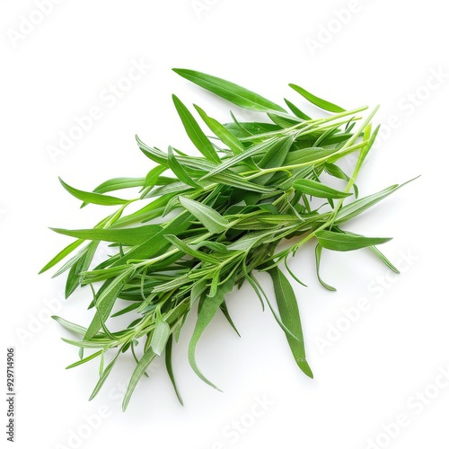 3D Tarragon Leaves