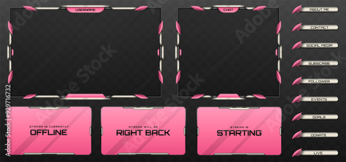 Stream Overlay Webcam Screen Frame and Stream Alert GUI Panels in Pink, Silver and Metallic Black for Gaming and Live Video Streaming Platforms