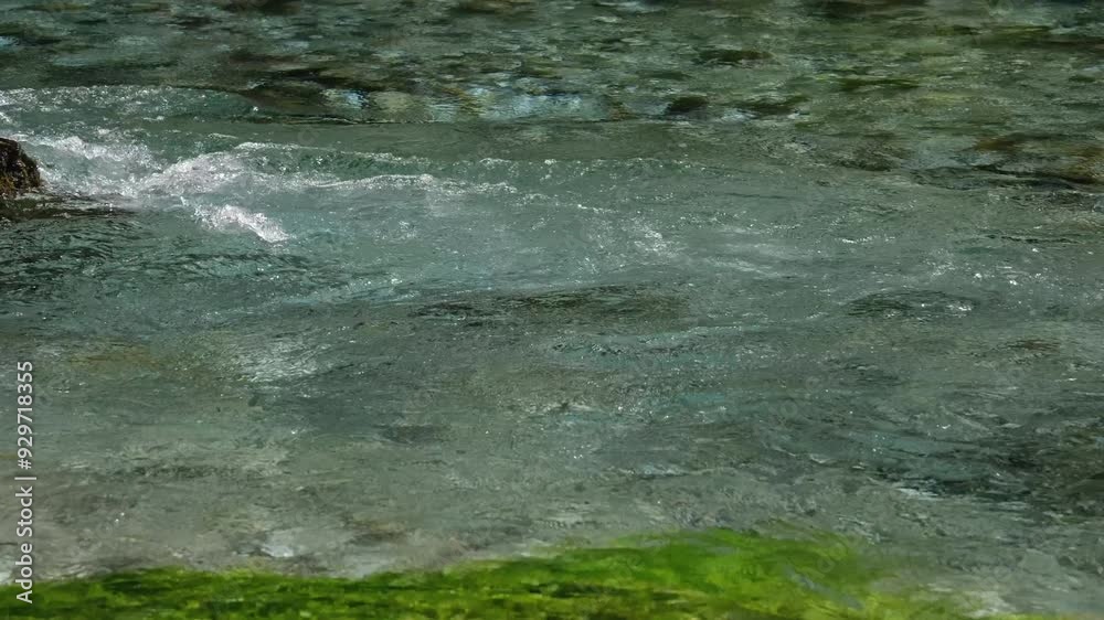 Top Down view of Fast Moving Mountain River with Rapids. Aerial View of Natural Winding River in Green grass field fast river Top Down view of Fast Moving Mountain River with Rapids. Aerial View of Natural Winding River in Green grass field fast river