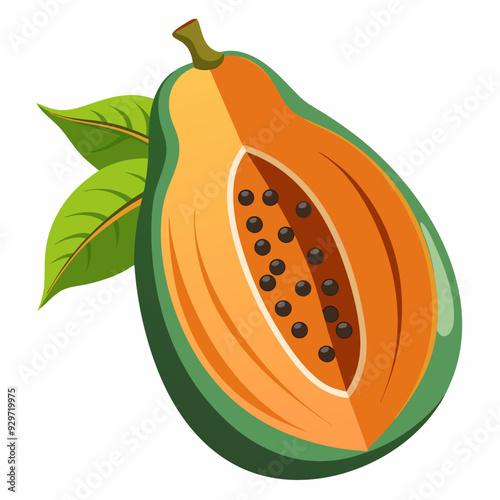 Ripe papaya vector illustration 