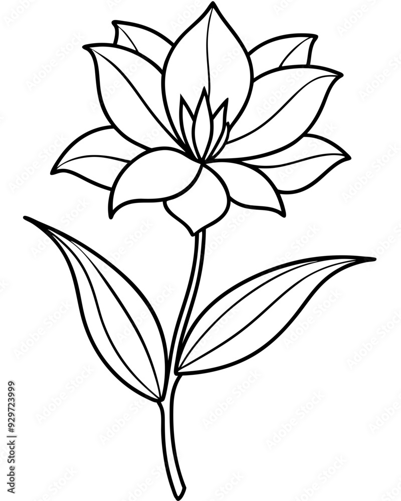Flower line art vector design Flower line art vector design