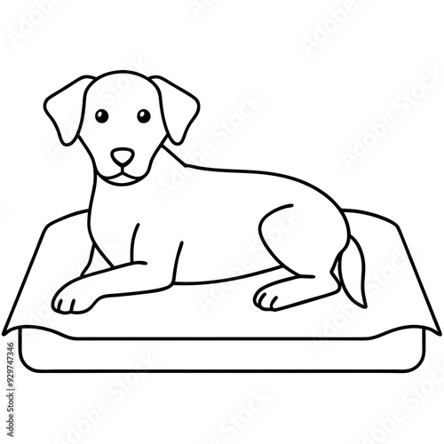 A dog laying on bed front view art vector illustration