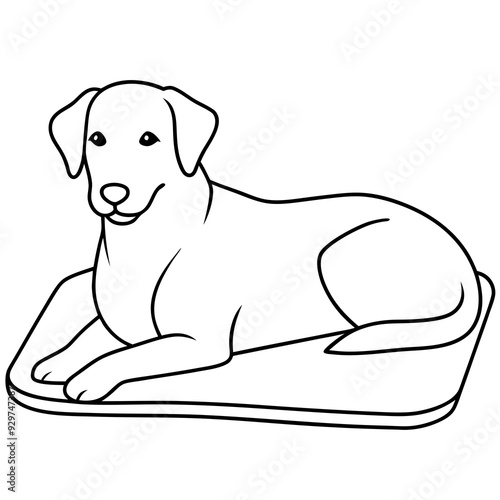 A dog laying on bed front view art vector illustration