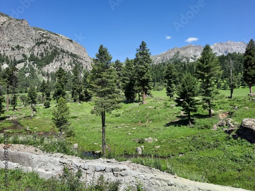 Majestic natural beauty of Gilgit-Baltistan in Pakistan. Gilgit-Baltistan is known for its astonishing natural beauty. Unique landscapes, evergreen  forests, cold deserts and snow covered mountains.  photo