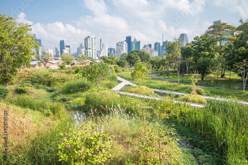 Fototapeta Naklejka Na Ścianę i Meble -  Beautiful wetland in green Benjakitti city park Bangkok, Thailand in sunny day blue sky background summer season. Nature and green environmental in city concept.