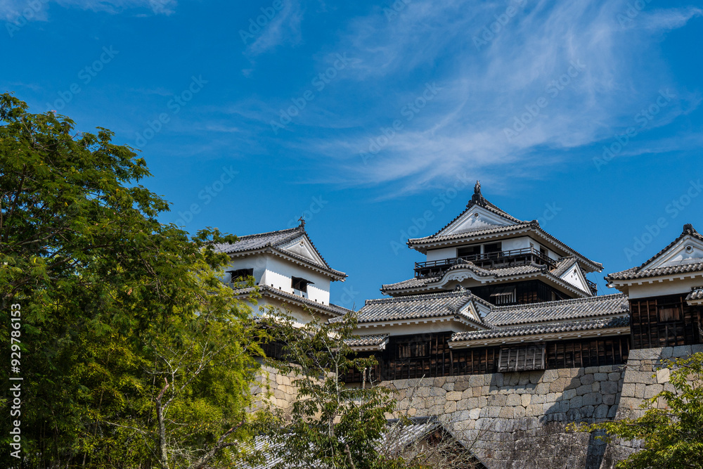 松山城_現存12天守の一つを持つ城、城山公園全体が国の史跡になっているほか、21棟が重要文化財である 松山城_現存12天守の一つを持つ城、城山公園全体が国の史跡になっているほか、21棟が重要文化財である