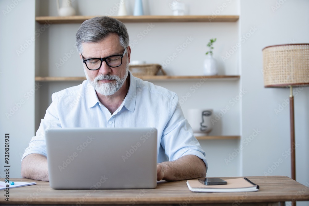 Mature businessman working from home using laptop Mature businessman working from home using laptop