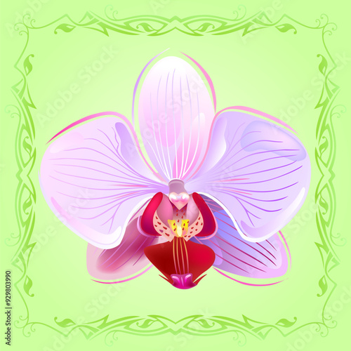 Orchid flower seamless pattern isolated on summer light-green background, vector illustration and can be scaled to any size without loss of resolution