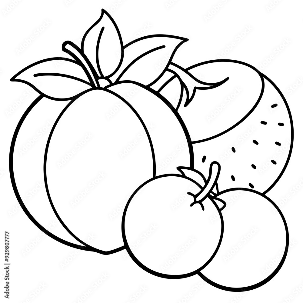 fruits art vector illustrator fruits art vector illustrator