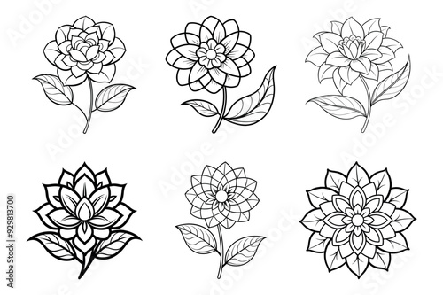 design flower page for coloring book transparent background