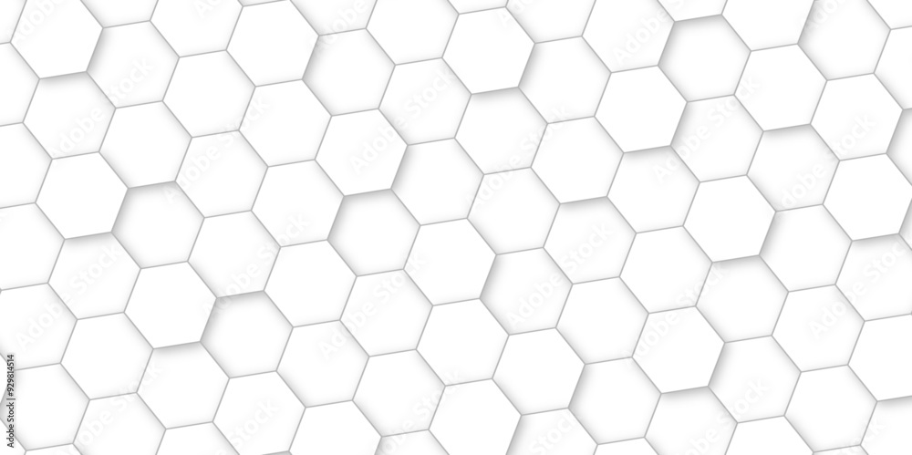 Abstract background with white color hexagons and seamless pattern vector design . luxury white pattern geometric mesh cell texture .hexagon 3d background texture design . Abstract background with white color hexagons and seamless pattern vector design . luxury white pattern geometric mesh cell texture .hexagon 3d background texture design .