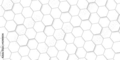 Abstract background with white color hexagons and seamless pattern vector design . luxury white pattern geometric mesh cell texture .hexagon 3d background texture design .