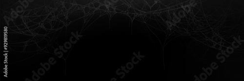 Spider cobweb border on black background. Realistic vector illustration of white hanging sticky web frame. Spooky scary Halloween or gothic banner template with spiderweb silhouette texture.