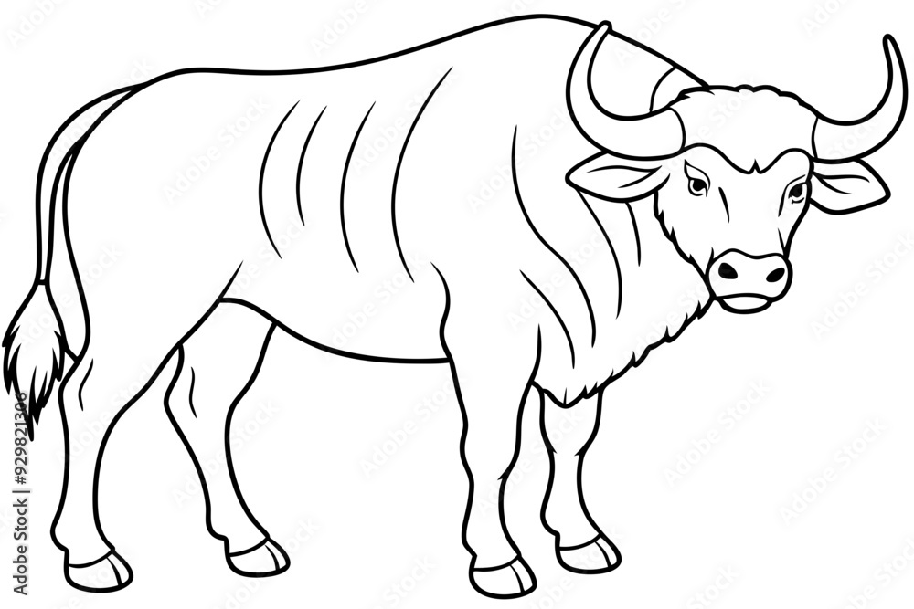 Fototapeta premium Line art of a buffalo 